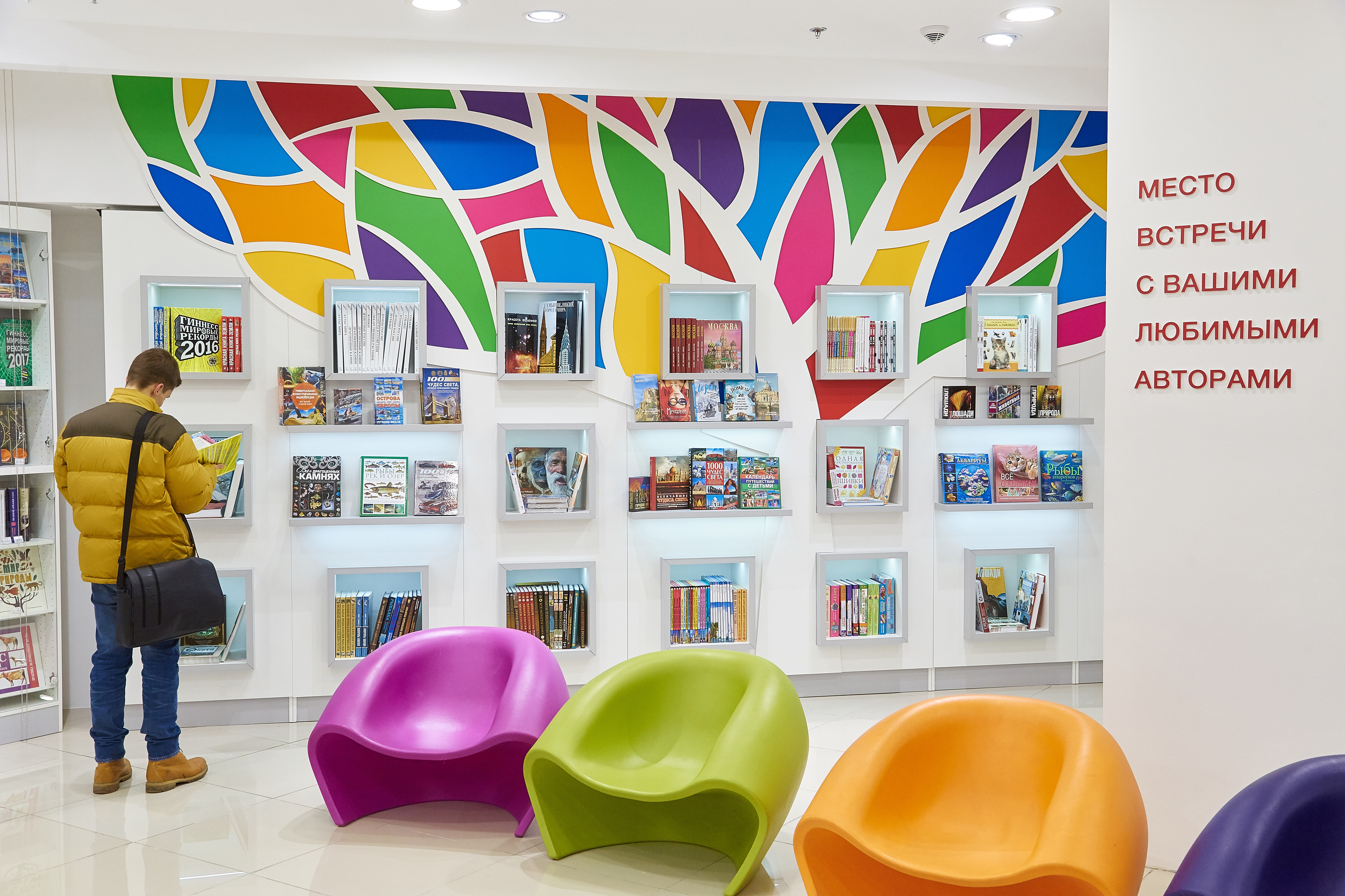 Главное изображение