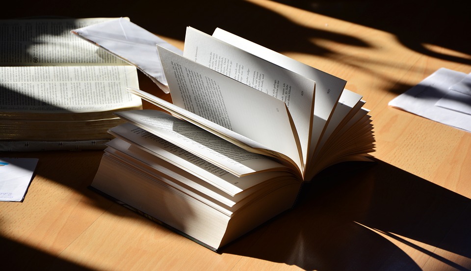 «Книга будущего: авторские права и пиратство в XXII веке»