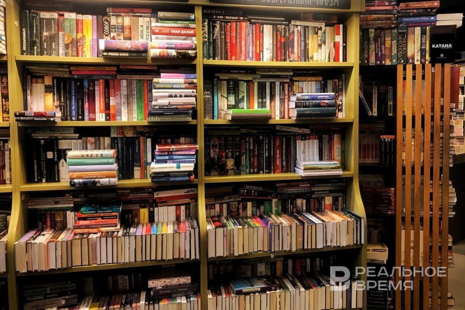  Фото: Екатерина Петрова / realnoevremya.ru
