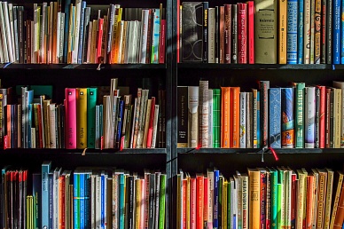 38% жителей Пензенской области, принявших участие в исследовании, читают более 10 книг в год