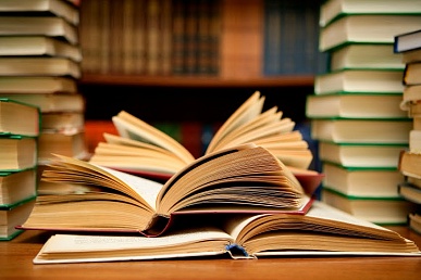 В России создан Комитет по поддержке литературы, книгоиздания и чтения